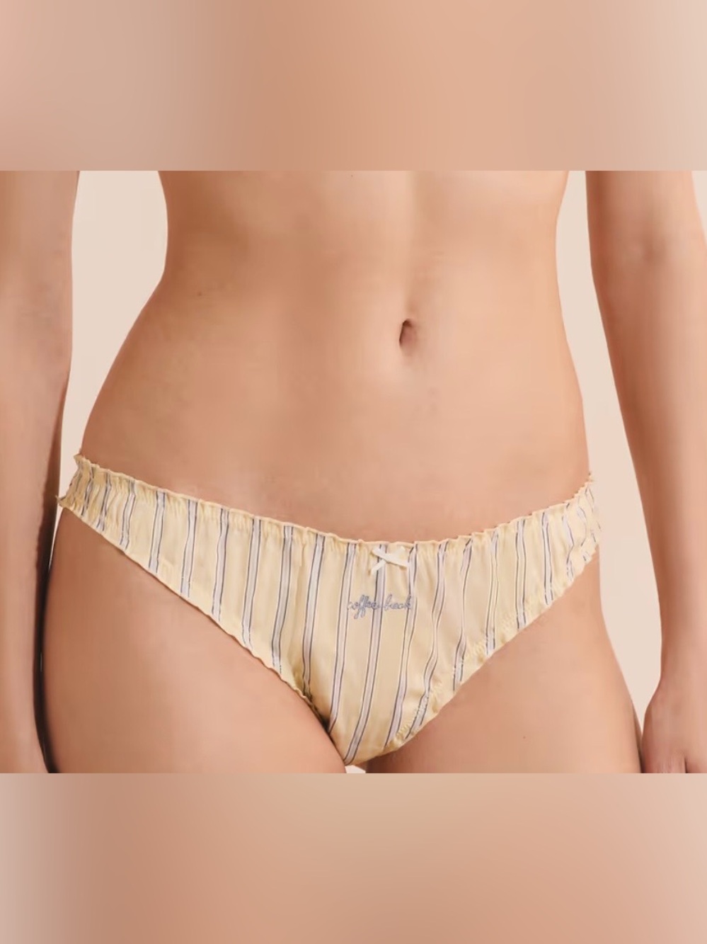NWT Etam cheeky panty size L